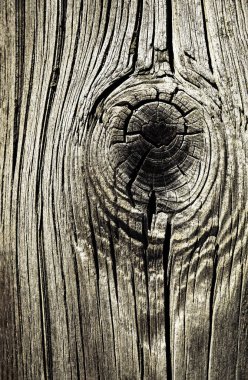 eski ahşap knot soyut şekiller