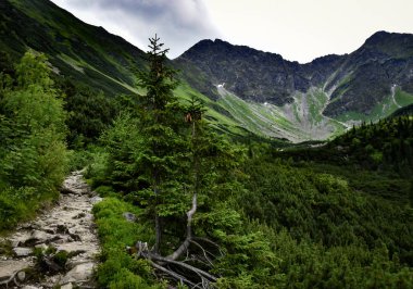 Yağmurdan sonra rocky Zirve dağ Vadisi