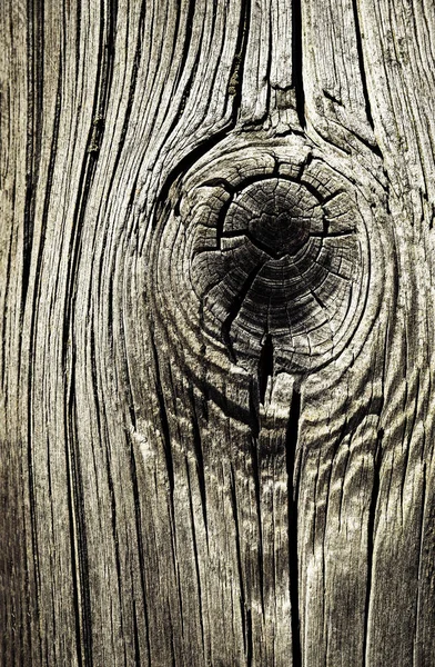 eski ahşap knot soyut şekiller