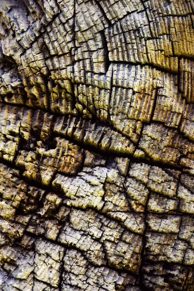 Soyut detay eski ahşap yıpranmış