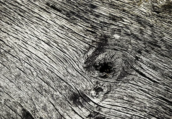 Macro detail of old weathered wood — Stock Photo, Image