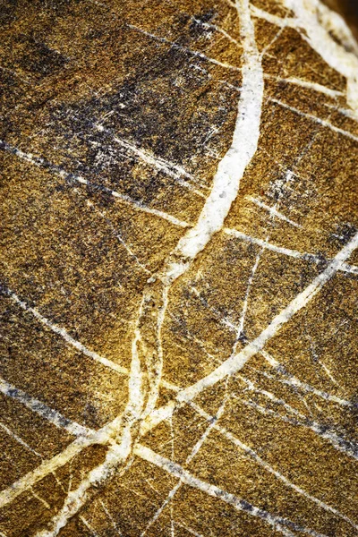 Veias brancas de quartzo na rocha de arenito — Fotografia de Stock