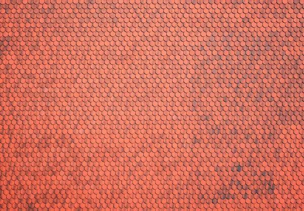 Shingle texture of red burnt clay — Stock Photo, Image
