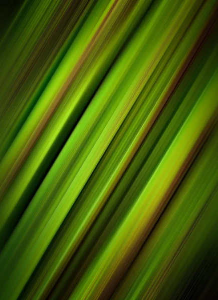Blurred green background of the rain forest — Stock Photo, Image