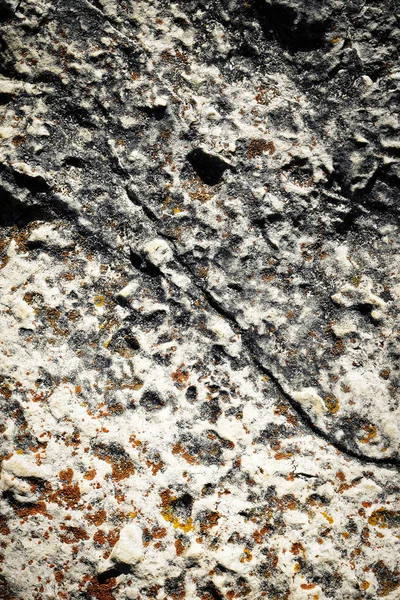 Limestone detail with orange moss — Stock Photo, Image