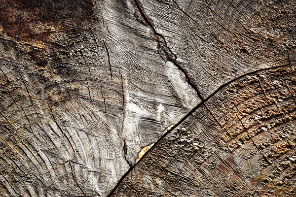 Detalle de madera vieja aserrada —  Fotos de Stock