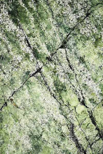 Surface verdâtre abstraite de granit — Photo