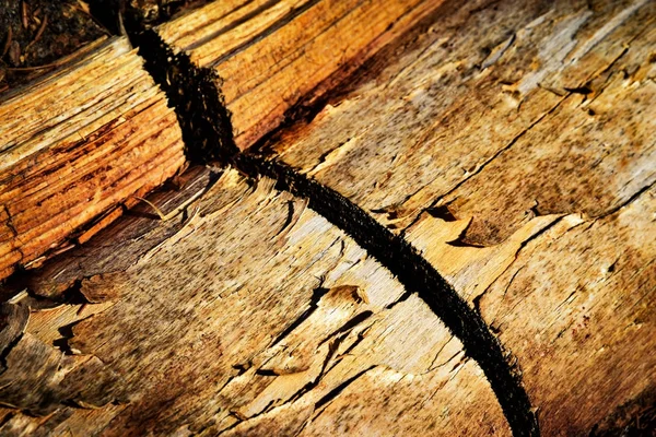 锯切在旧木材 — 图库照片