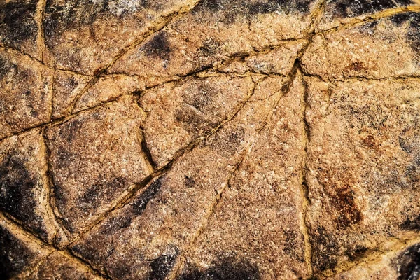 Texture astratta rocce di sabbia ocra — Foto Stock