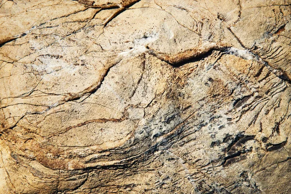 Detalle de piedra con venas de cuarzo — Foto de Stock