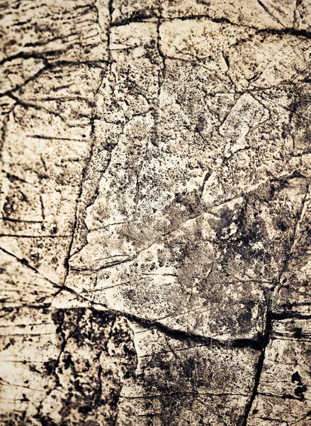 Vieux calcaire foncé cicatrisé — Photo