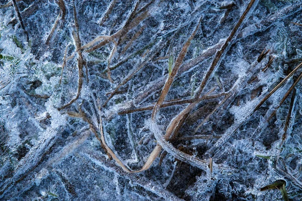 Frozen water for dry grass — Stock Photo, Image