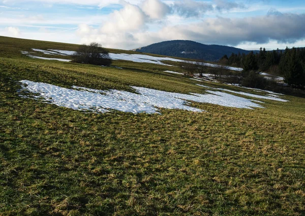 Sníh na jarní louce — Stock fotografie