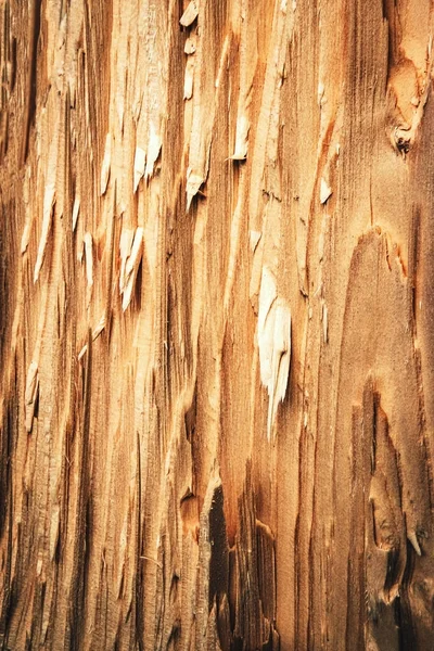 abstract detail of broken wood