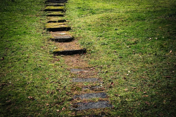 En gammal övergiven stenen gångväg i gräset — Stockfoto