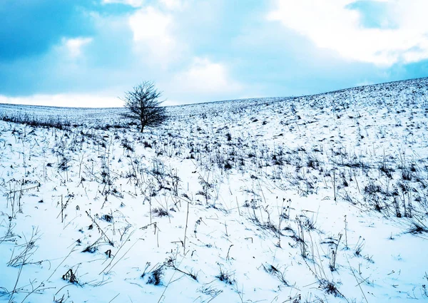 冷的蓝色冬天风景 — 图库照片