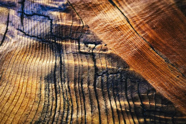 Abstract structure of lacquered spruce wood — Stock Photo, Image