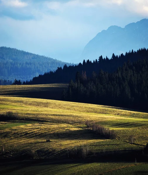 Sol de la tarde en los prados de montaña — Foto de Stock
