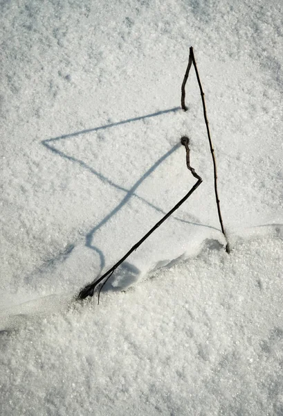 Sombra de grama seca na neve — Fotografia de Stock