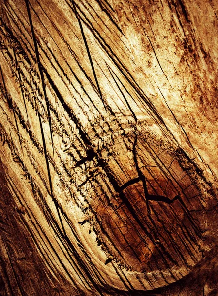Κοπή ξύλου γδαρμένο — Φωτογραφία Αρχείου