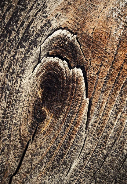 Detalle de madera seca vieja — Foto de Stock