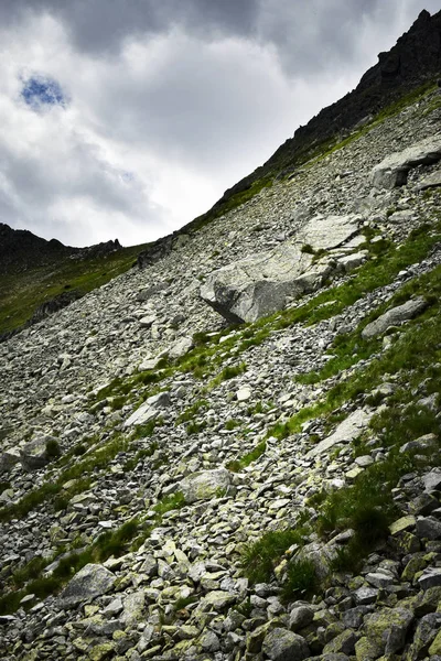 Piargi kamień pola w górach — Zdjęcie stockowe