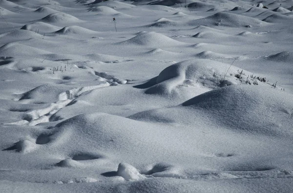 Śnieg pokrywa mrowisko — Zdjęcie stockowe