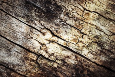 arka arka plan veya doku eski çürümüş ahşap