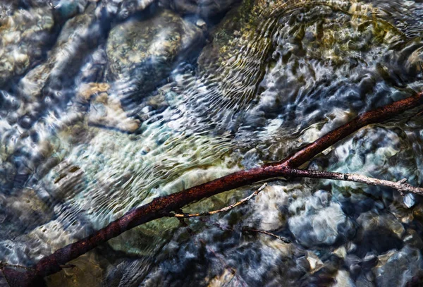 Astratto Sfondo Chiaro Livello Dell Acqua Con Ramoscelli — Foto Stock