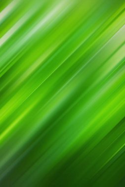 Yeşil bulanık arka plan