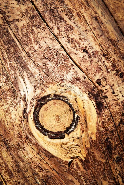 abstract background detail of knot on wood without bark