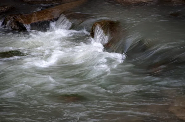 Dettaglio autunno sul fiume sera — Foto Stock