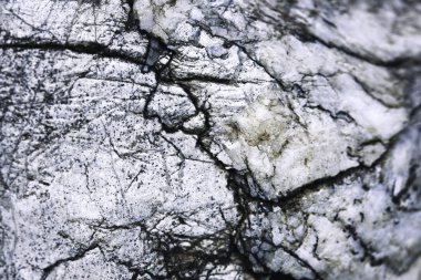 soyut arkaplan veya doku çatlaklı eski kasvetli kireç taşının ayrıntıları