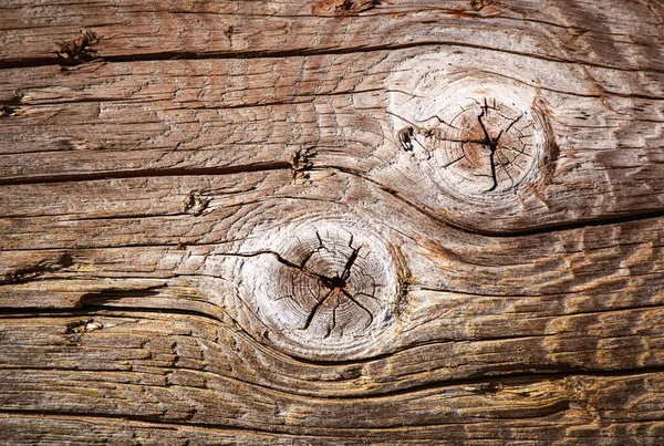 Detalle Fondo Dos Nudo Madera Del Árbol Viejo Imagen de archivo