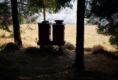 Arka plan silueti Ormanın kenarında iki arı kovanı