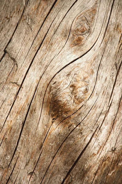 Abstrakcyjna Linia Szczegółów Tła Drewnie Bez Kory — Zdjęcie stockowe