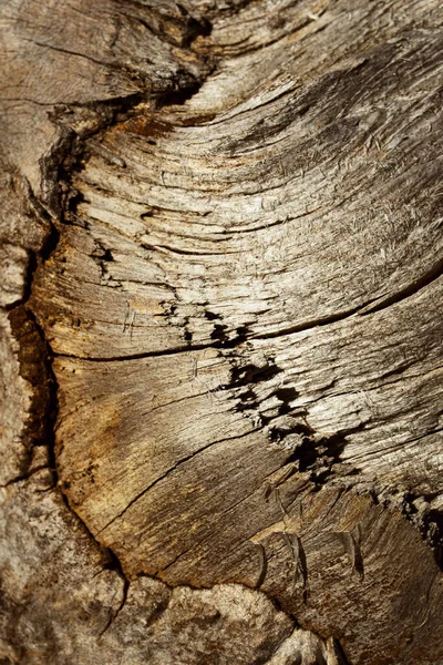 Eskimiş Kahverengi Ahşabın Arka Planı Veya Dokusu — Stok fotoğraf