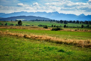 Doğa arka planındaki bahar çayırları yüksek dağların altında