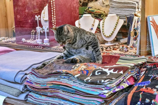 Cat on Handmade carpets in Istanbul, Turkey in a beautiful summer day
