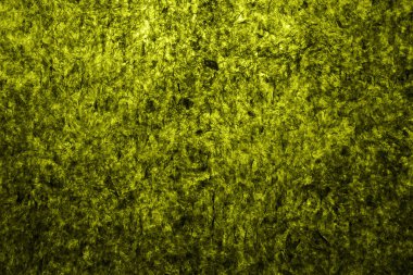 Şaraplık üzüm bağıyla şampanya