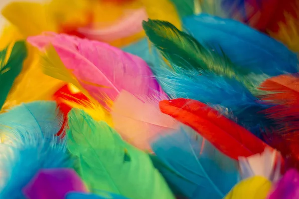Parlak renkli tüylere yakın arkaplan