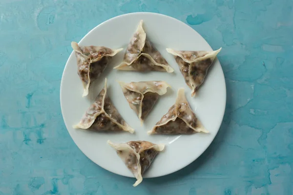 Lezzetli oryantal Dim Sum köfte portre