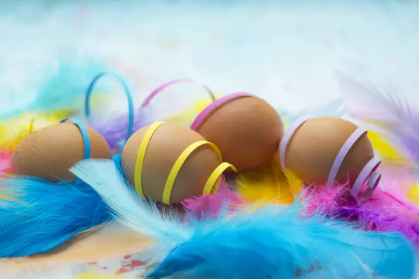 Doğal yumurta renkli tüyleri ve konfeti - Paskalya Tema