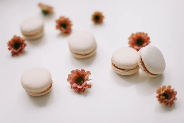 Tasty macarons cookies and flowers on white background. Colorful french desserts. March 8, Spring  background. Valentines, Women, Mothers day concept. Copy space, minimal style, flat lay, top view. — Stock Photo, Image