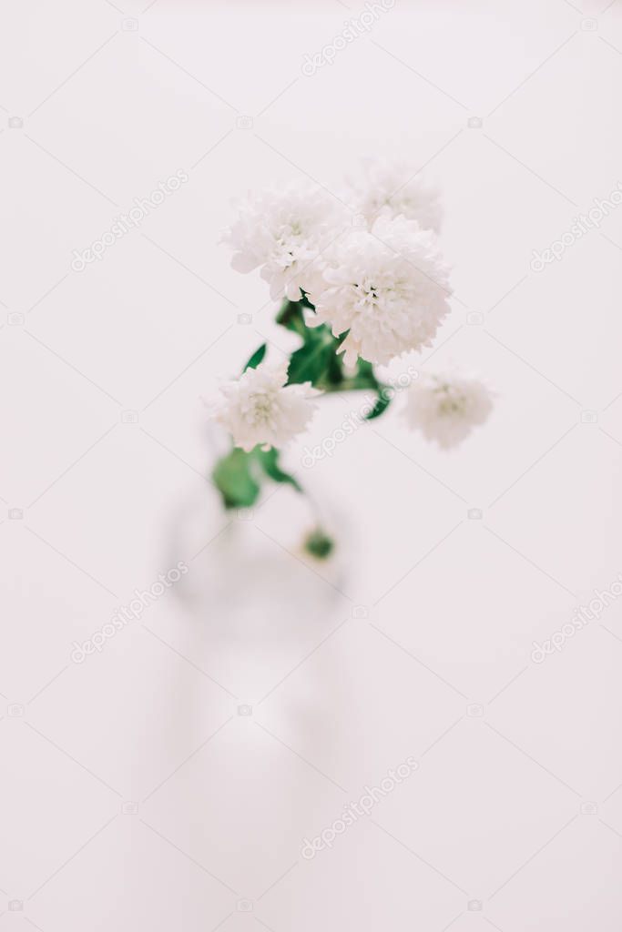 White chrysanthemum in vase on table. Floral wallpaper. Holiday, wedding, birthday concept. Copy space, flat lay, top view. Minimal style. Post card.