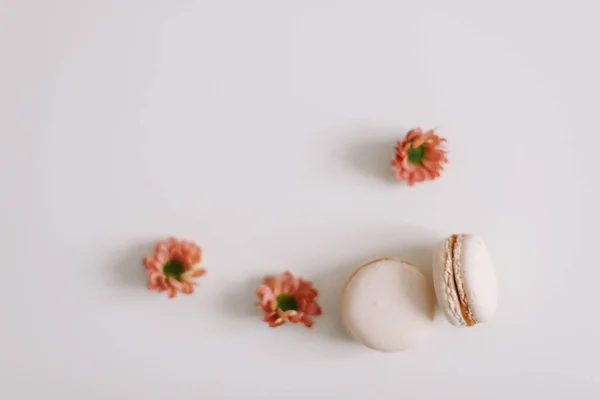 Tasty macarons cookies and flowers on white background. Colorful french desserts. March 8, Spring  background. Valentines, Women, Mothers day concept. Copy space, minimal style, flat lay, top view. — Stock Photo, Image