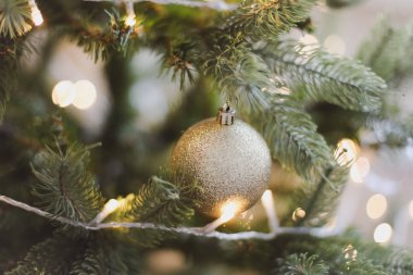 Noel ağacı dalına Noel topları asılmış. Mücevherler ve çam ağacı dalları. Noel ve Yeni Yıl geçmişi