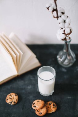 Glass with fresh milk and chocolate chips cookies.  Oatmeal cookies  and glass of milk for breakfast. Healthy good morning