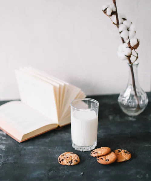 Verre au lait frais et biscuits aux pépites de chocolat. Biscuits à l'avoine et verre de lait pour le petit déjeuner. Bonjour à tous — Photo