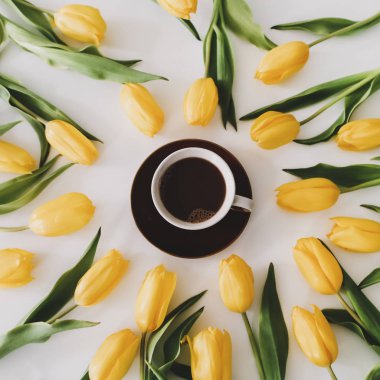 Beyaz arka planda sarı lale çerçeveli bir kahve fincanı. Tatil, doğum günü, Paskalya, Uluslararası Kadınlar Günü. 